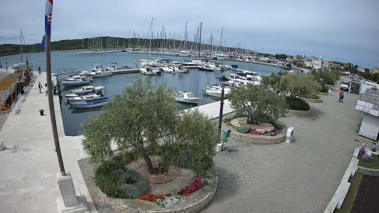 A marina filled with numerous boats and yachts is situated next to a paved walkway lined with olive trees and flowerbeds under an overcast sky.