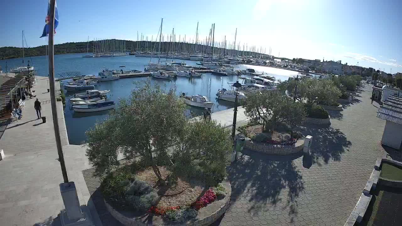A marina filled with sailboats and motorboats is seen on a sunny day, next to a paved walkway lined with olive trees and flowerbeds.