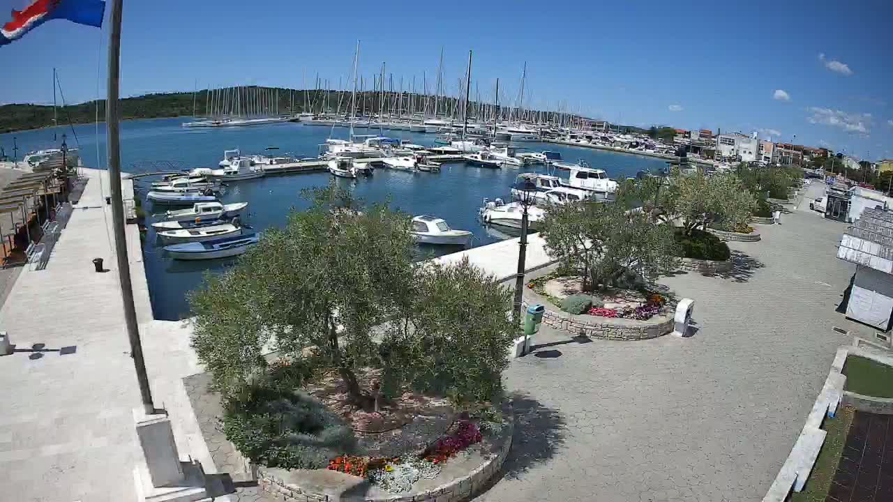 A marina filled with sailboats and motorboats is visible under a clear blue sky, with a paved walkway and manicured landscaping surrounding it.