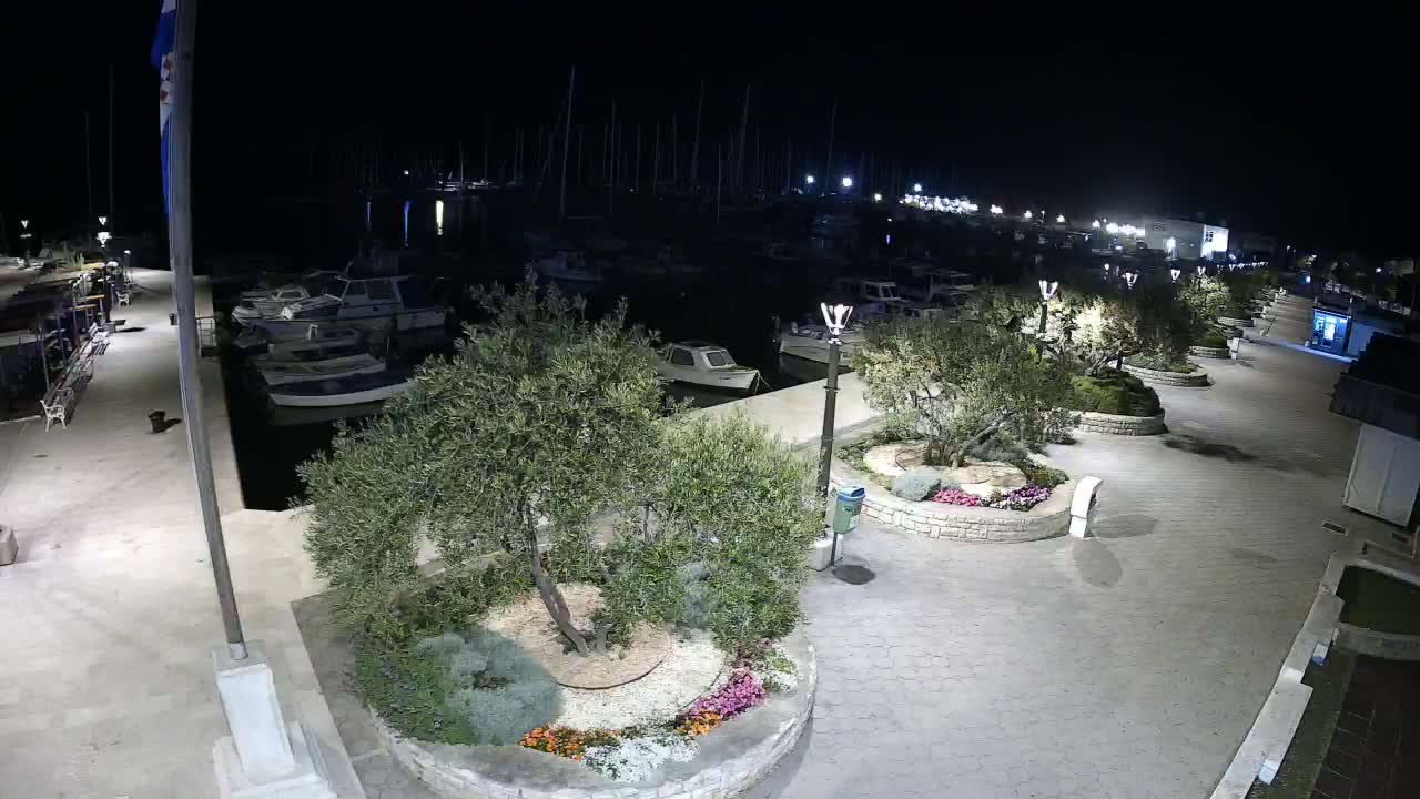 A nighttime view of a marina with numerous boats docked, surrounded by a paved walkway lined with olive trees and landscaped circular gardens, under clear skies.