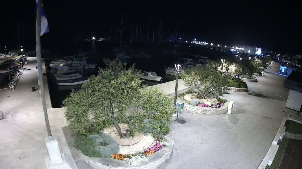 A nighttime view of a marina with numerous boats docked, surrounded by a paved walkway lined with olive trees and flowerbeds under clear skies.