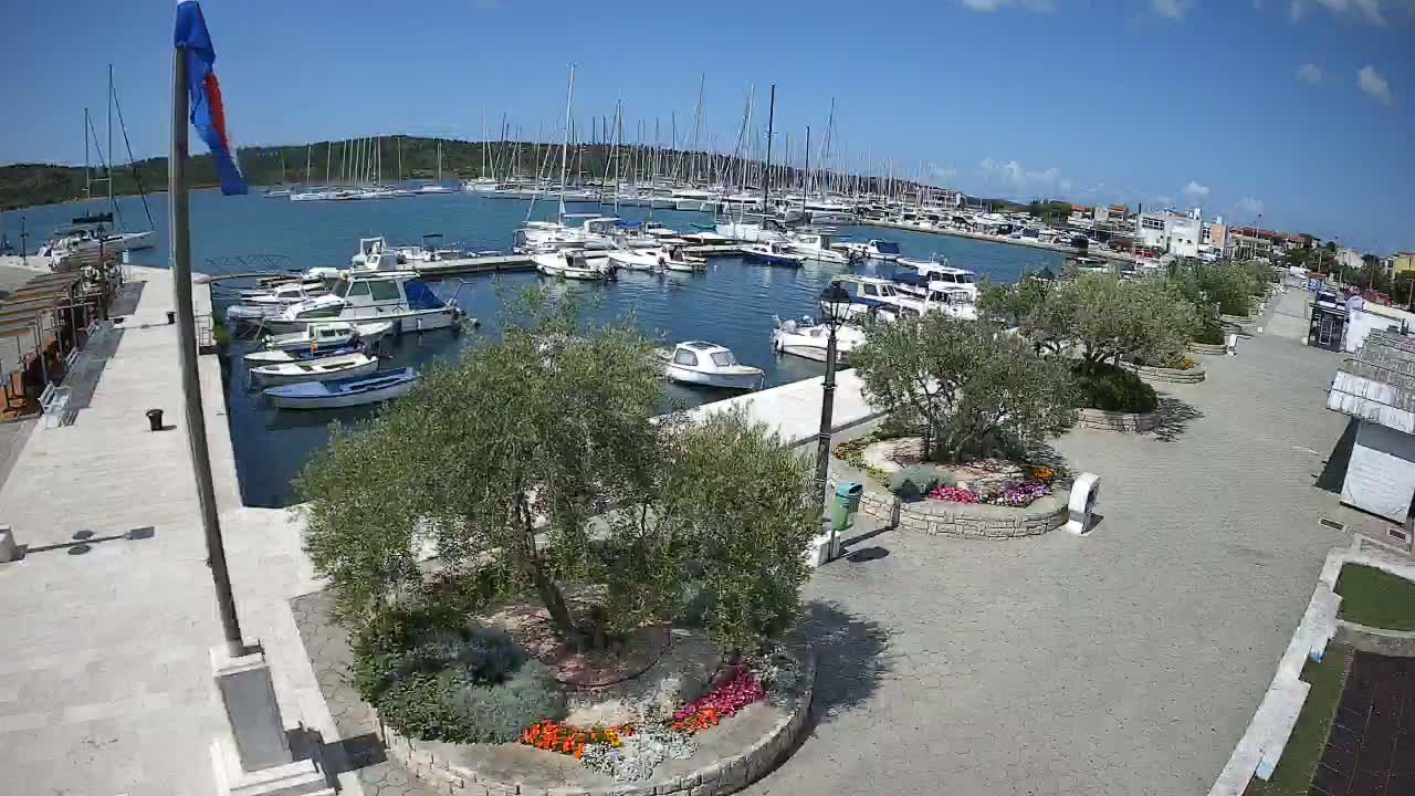 A marina filled with sailboats and motorboats on a sunny day, next to a paved walkway lined with olive trees and flower gardens.