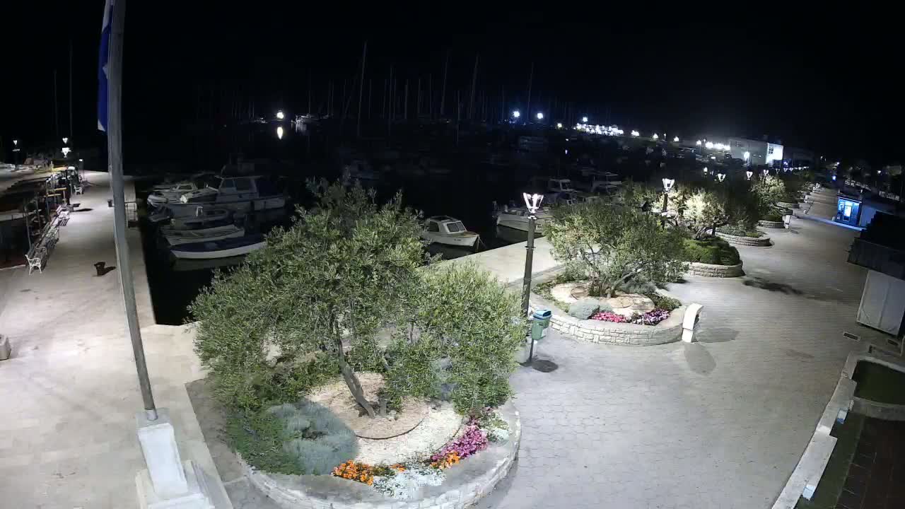 A nighttime view of a marina with numerous boats docked, surrounded by a paved walkway lined with olive trees in circular garden beds.