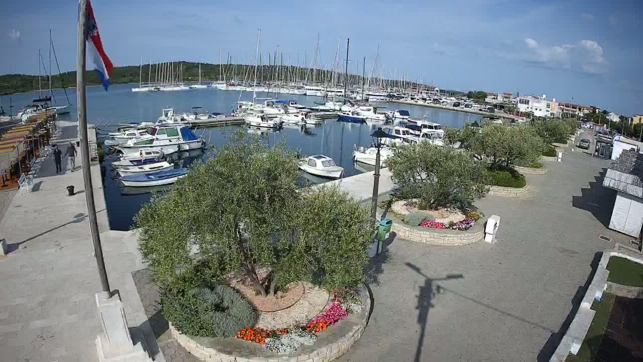 A marina filled with sailboats and motorboats on a sunny day, surrounded by a paved walkway, landscaped areas with olive trees and flowers, and small buildings.