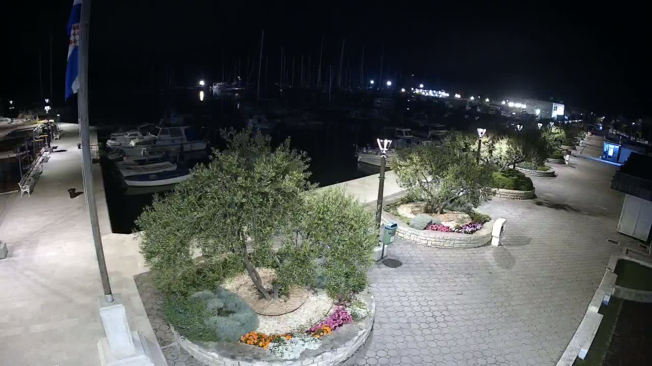 A nighttime view of a marina with numerous boats moored, a paved walkway lined with olive trees in circular planters, and a flagpole displaying a flag.