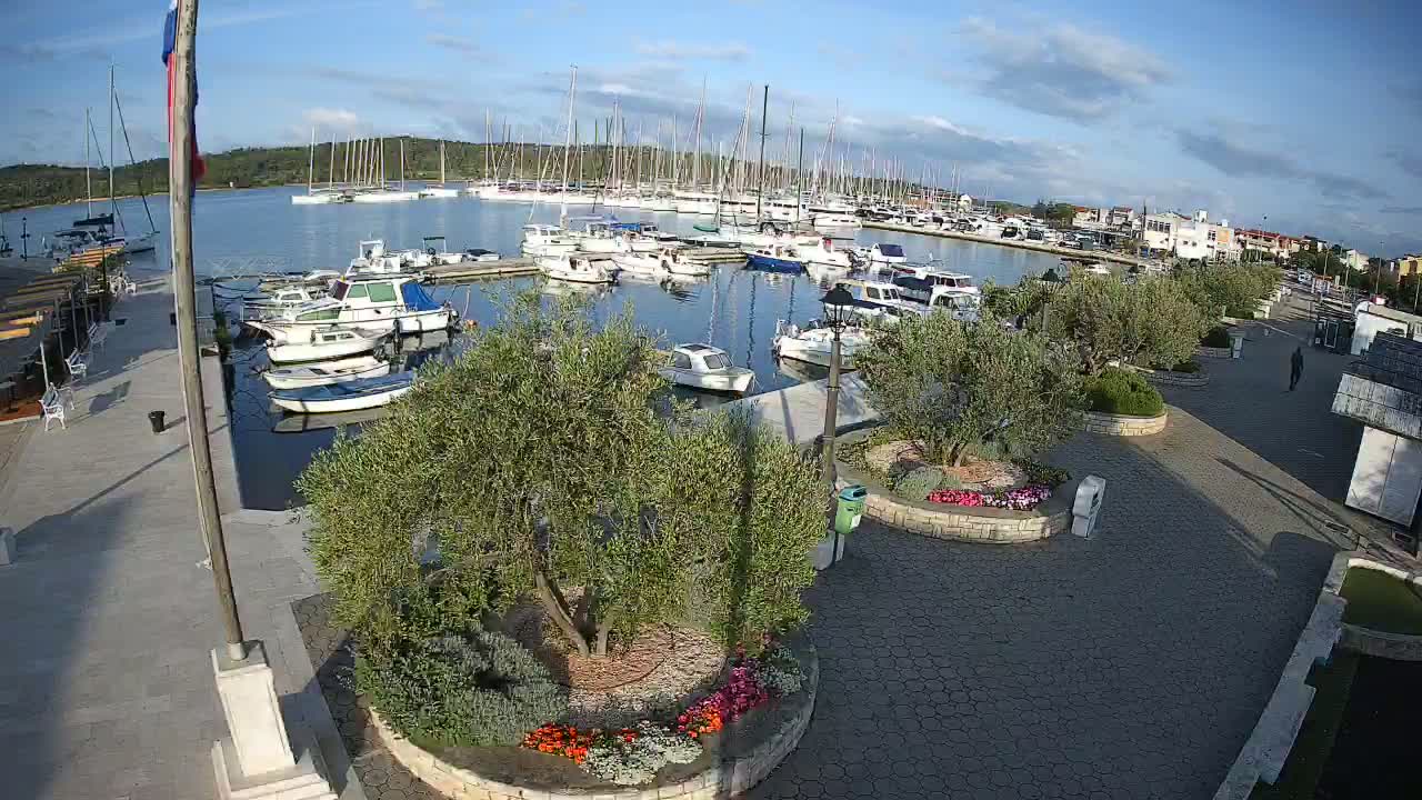 A marina filled with sailboats and motorboats on a sunny day, with a paved walkway lined with olive trees and flowerbeds adjacent to it.