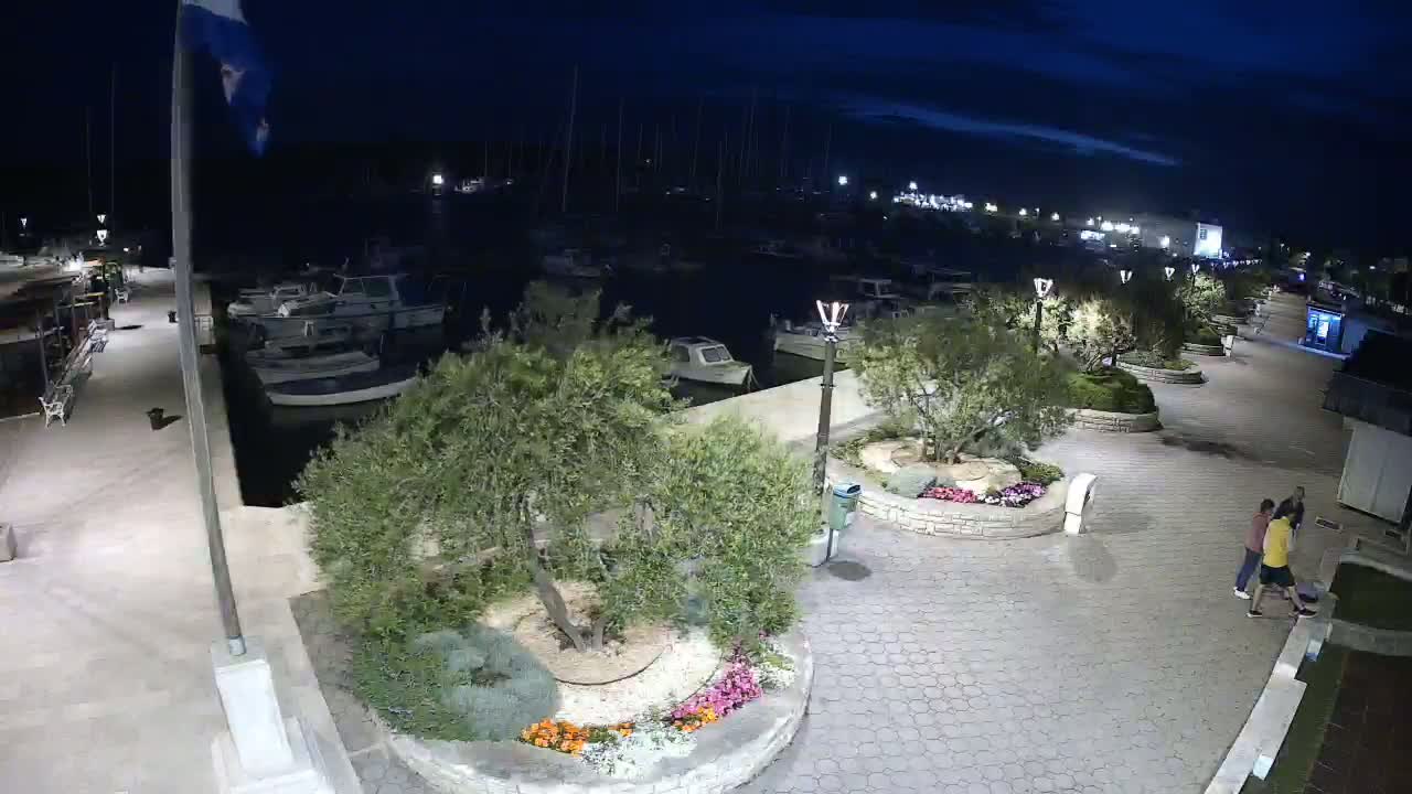 A nighttime view of a harbor with numerous boats moored, a paved walkway lined with small trees and flowerbeds, and a few people walking along the waterfront under a partly cloudy sky.
