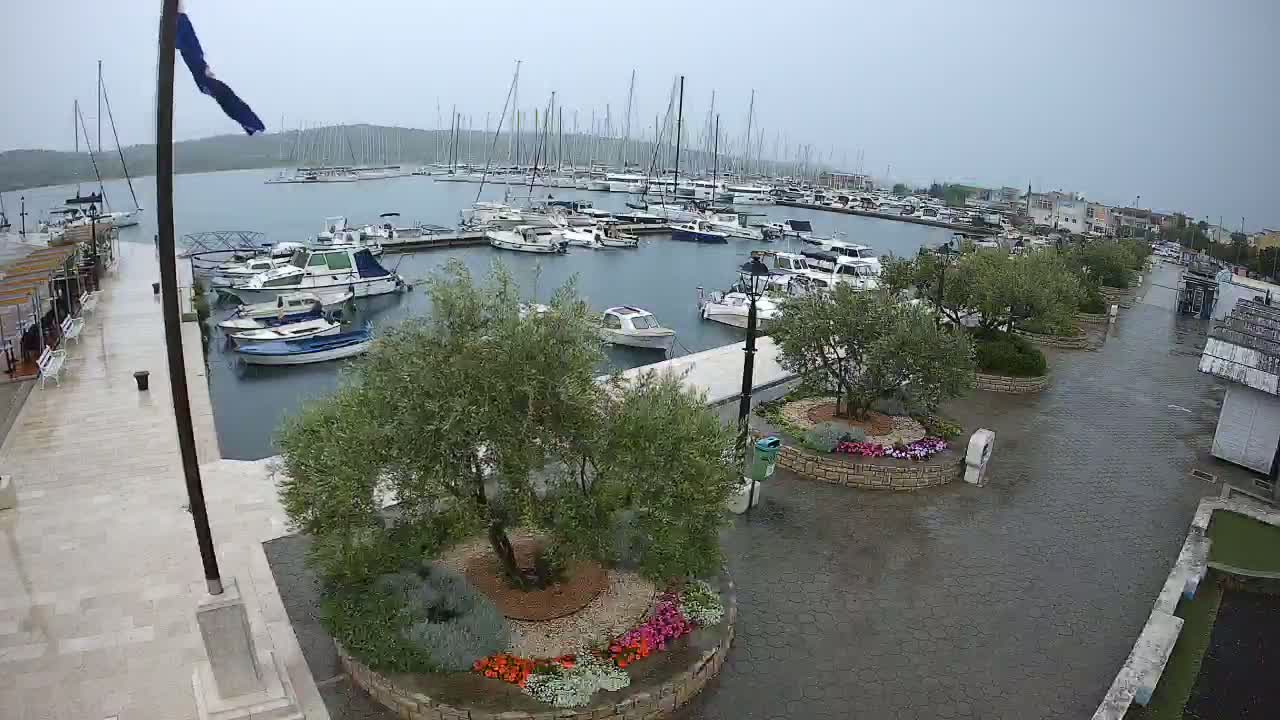A marina filled with sailboats and motorboats is seen on a rainy day, with a paved walkway lined with small, flowering plants leading from the marina toward a row of buildings.