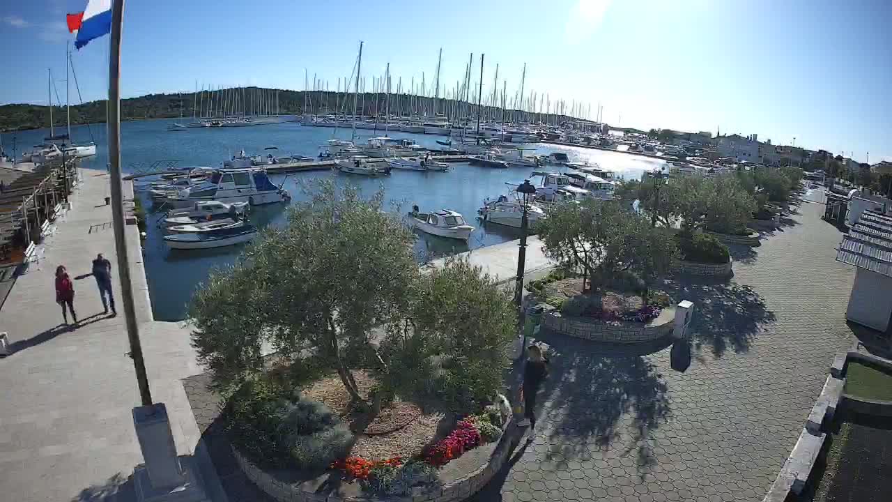 A sunny harbor scene shows numerous boats docked at a marina, with a paved walkway and small landscaped areas nearby.