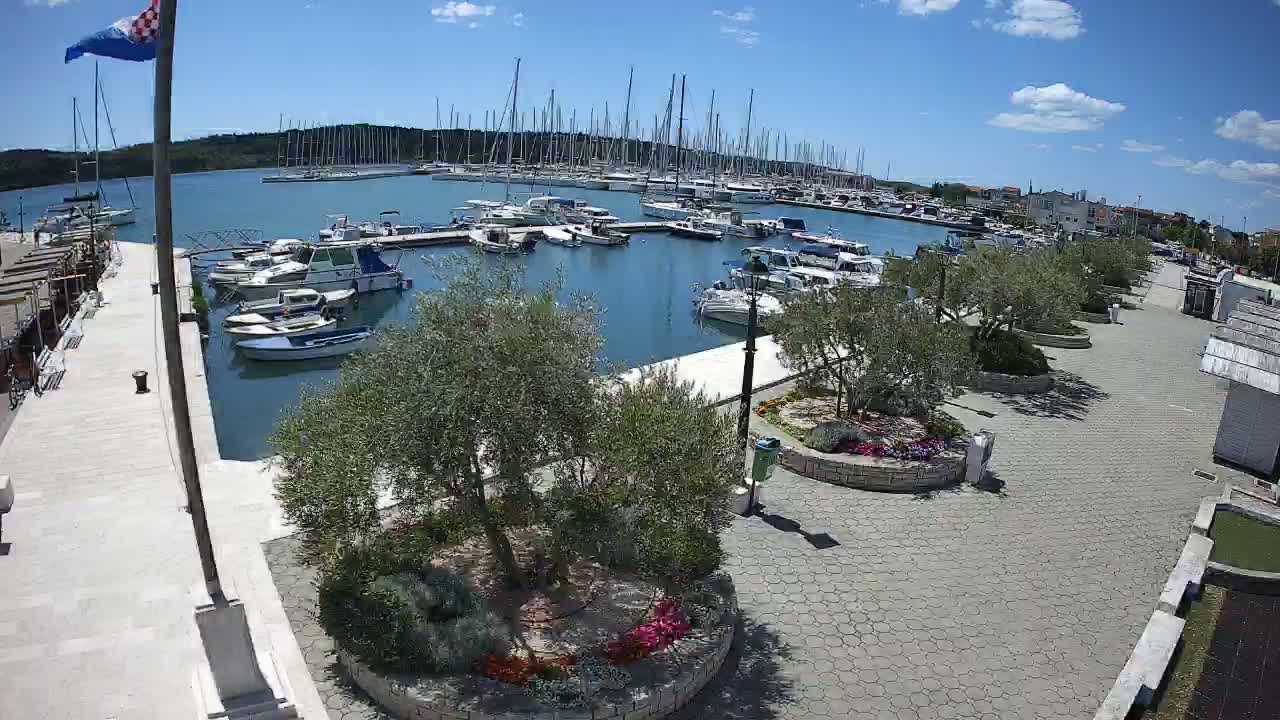 A marina filled with numerous sailboats and motorboats is viewed from above on a sunny day, with a paved walkway lined with olive trees and flowerbeds in the foreground.