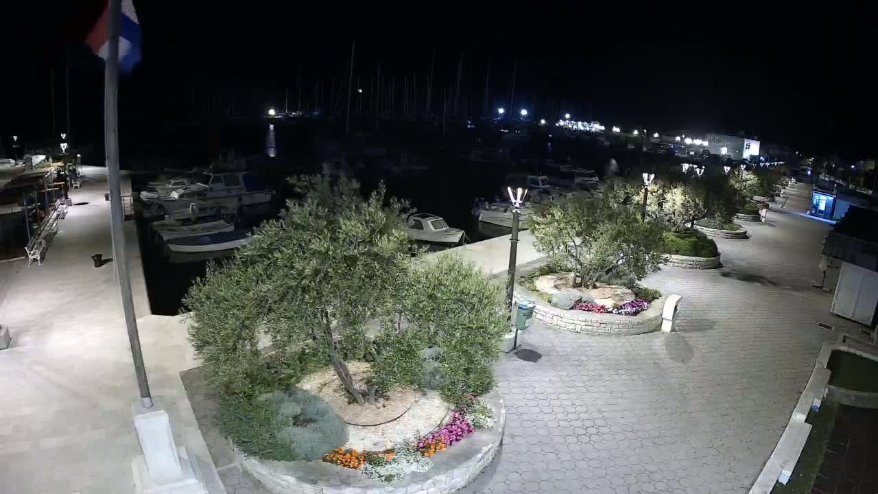 A nighttime view of a marina with boats docked, illuminated walkways lined with olive trees in planters, and a flagpole.