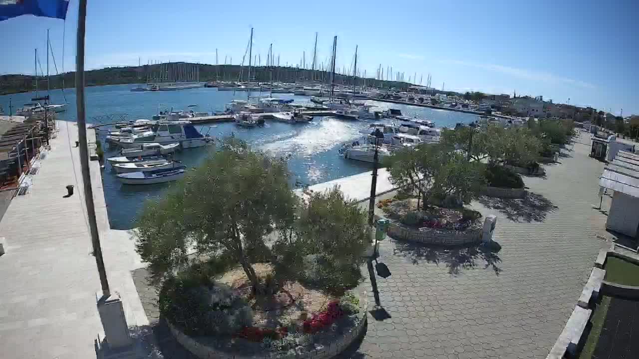 A marina filled with sailboats and motorboats is seen on a sunny day, with a paved walkway and landscaped areas alongside it.