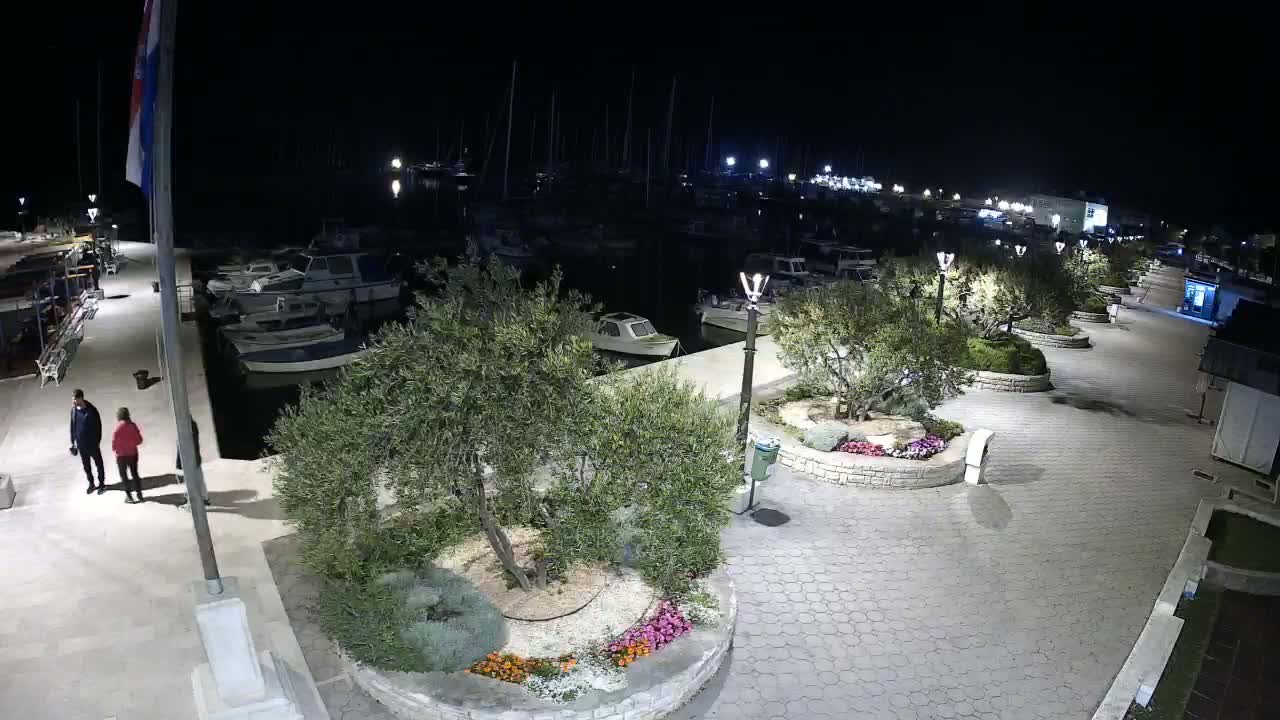 A nighttime view of a marina with numerous boats docked, a paved walkway lined with olive trees and flowerbeds, and two people standing near a flagpole.
