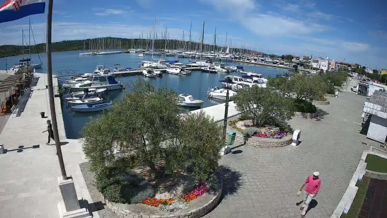 A marina filled with sailboats and motorboats on a sunny day, surrounded by a paved walkway and landscaped areas with olive trees and flower beds.