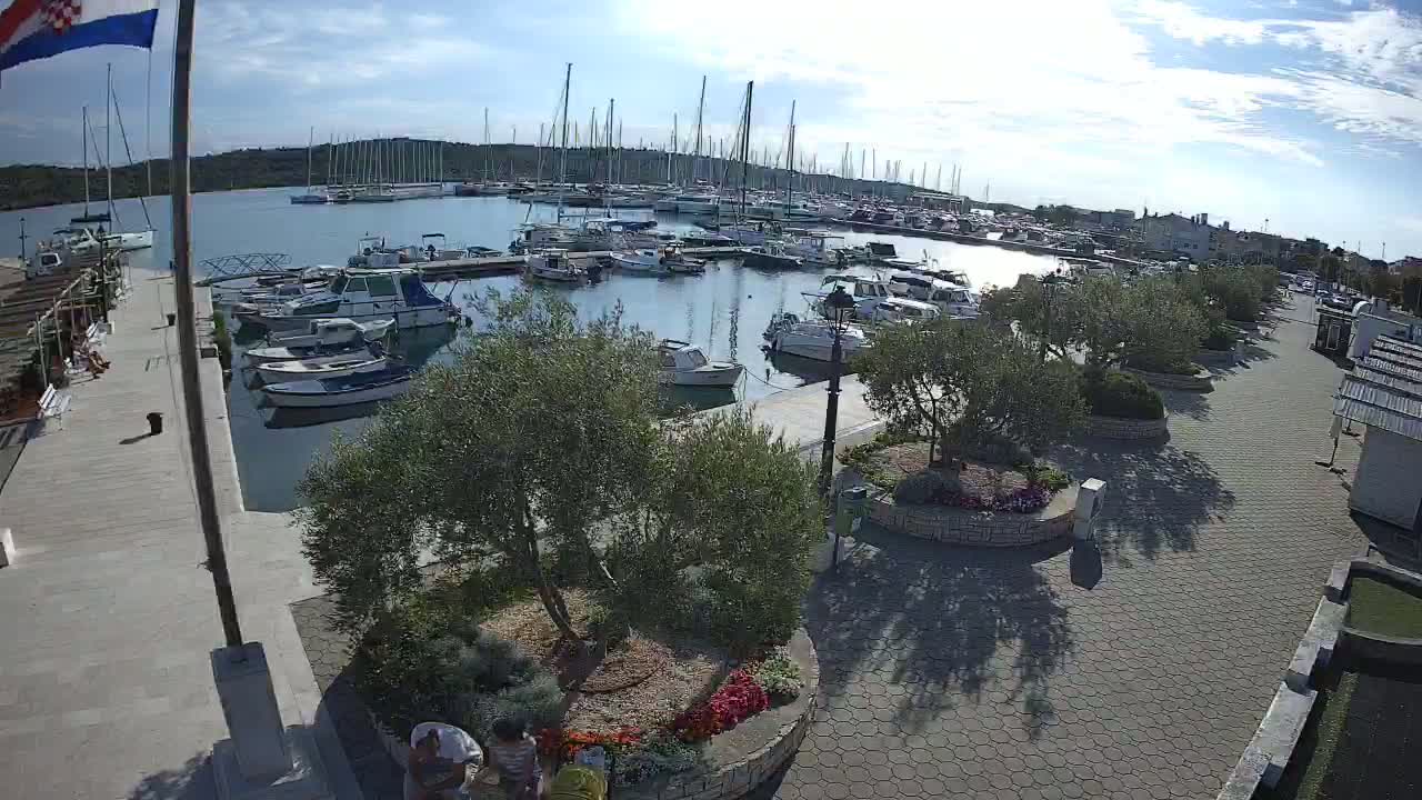 A sunny day at a marina shows numerous boats docked, with a paved walkway and landscaping separating the water from a shoreline area with small buildings.