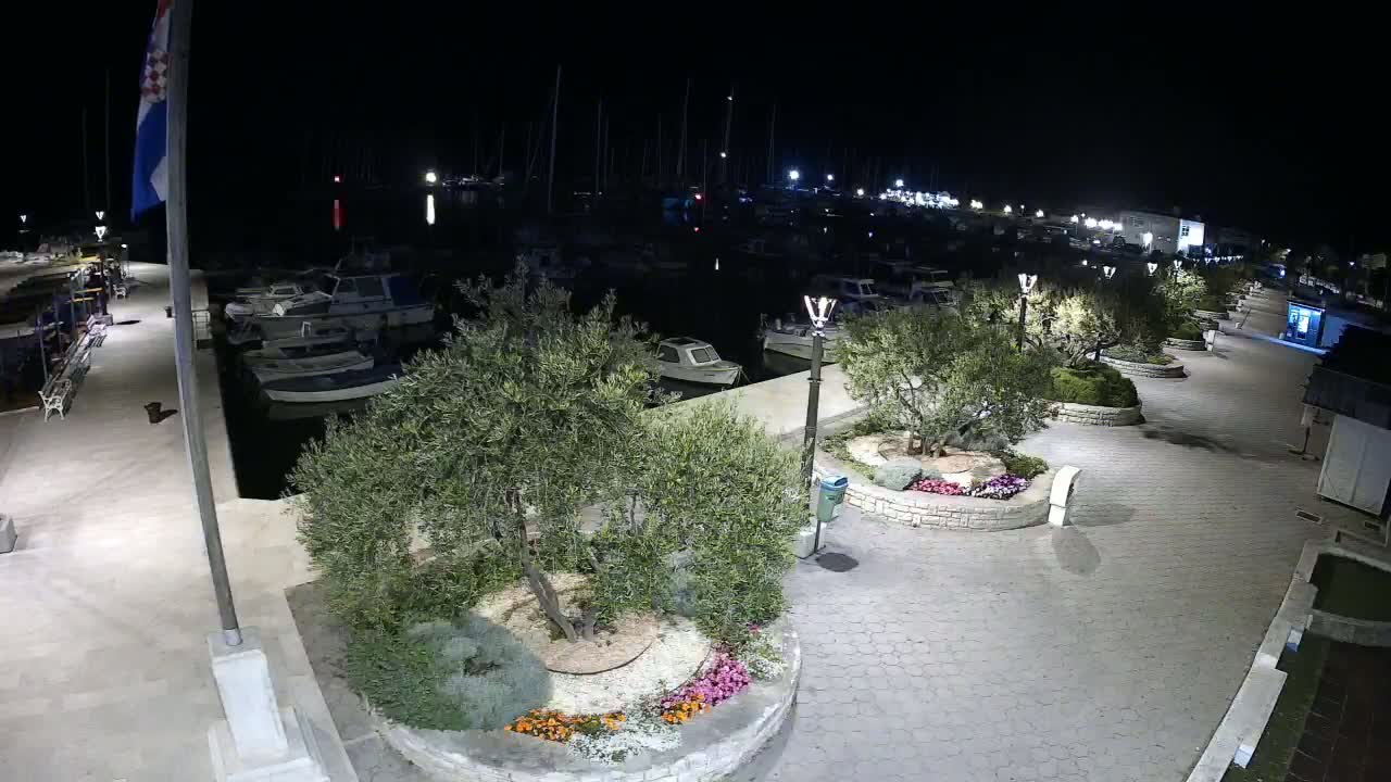A nighttime view of a marina with boats docked, a paved walkway lined with olive trees in circular planters, and a Croatian flag flying.