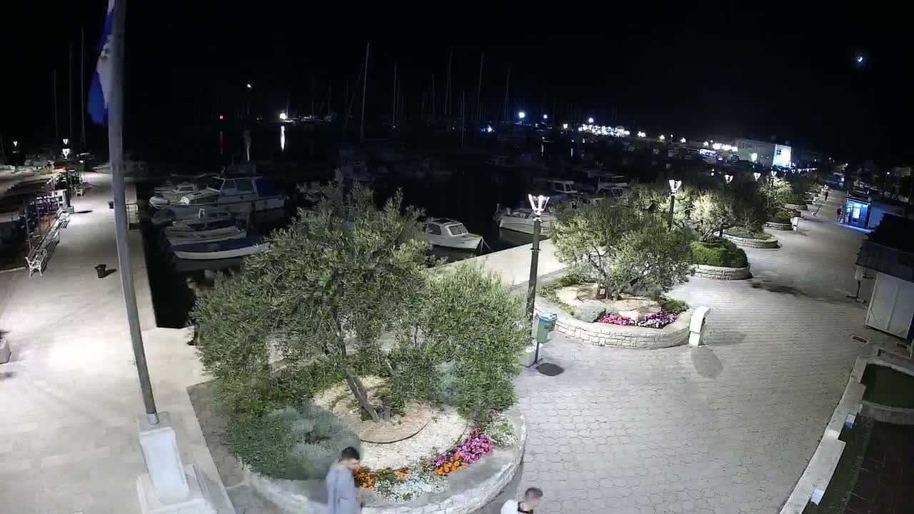 A nighttime view of a harbor, featuring numerous boats docked, a paved walkway lined with olive trees and flowerbeds, and several people walking.
