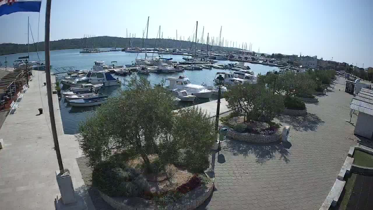 A marina filled with numerous boats is seen on a sunny day, alongside a paved walkway lined with olive trees and landscaping.