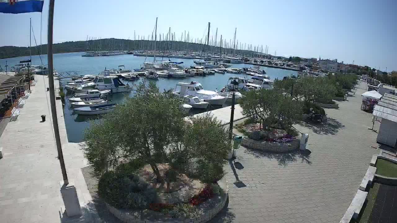 A marina filled with numerous boats on a sunny day, bordered by a paved walkway lined with small trees and landscaping.