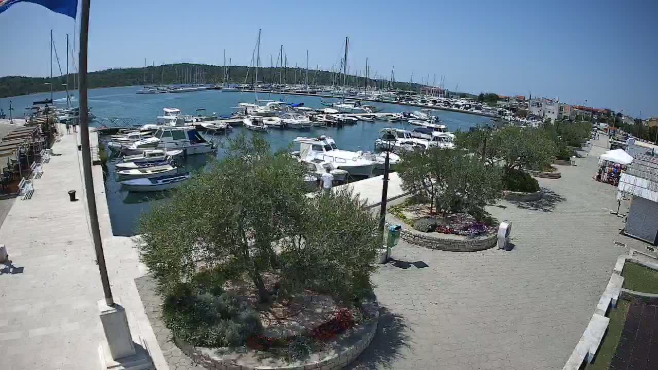 A marina filled with numerous boats and yachts under a clear, sunny sky, adjacent to a paved walkway lined with landscaping and small shops.