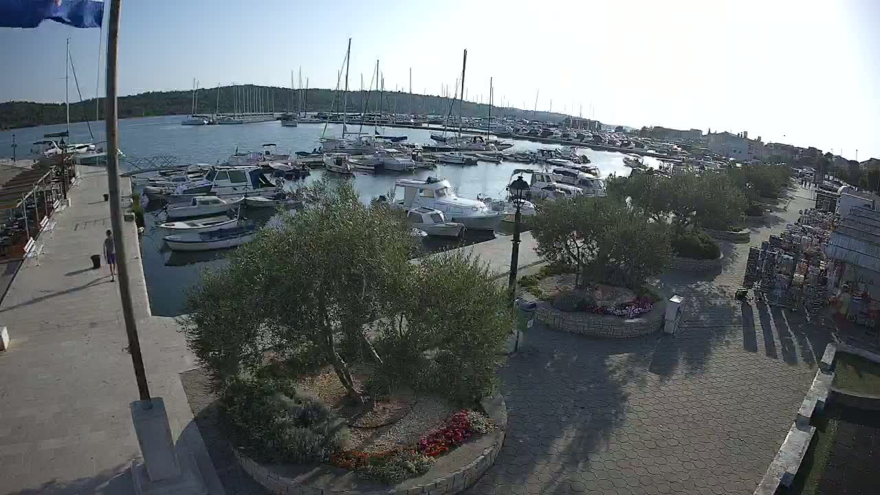 A harbor filled with numerous boats and yachts under a clear, sunny sky is bordered by a paved walkway lined with olive trees and flowerbeds.
