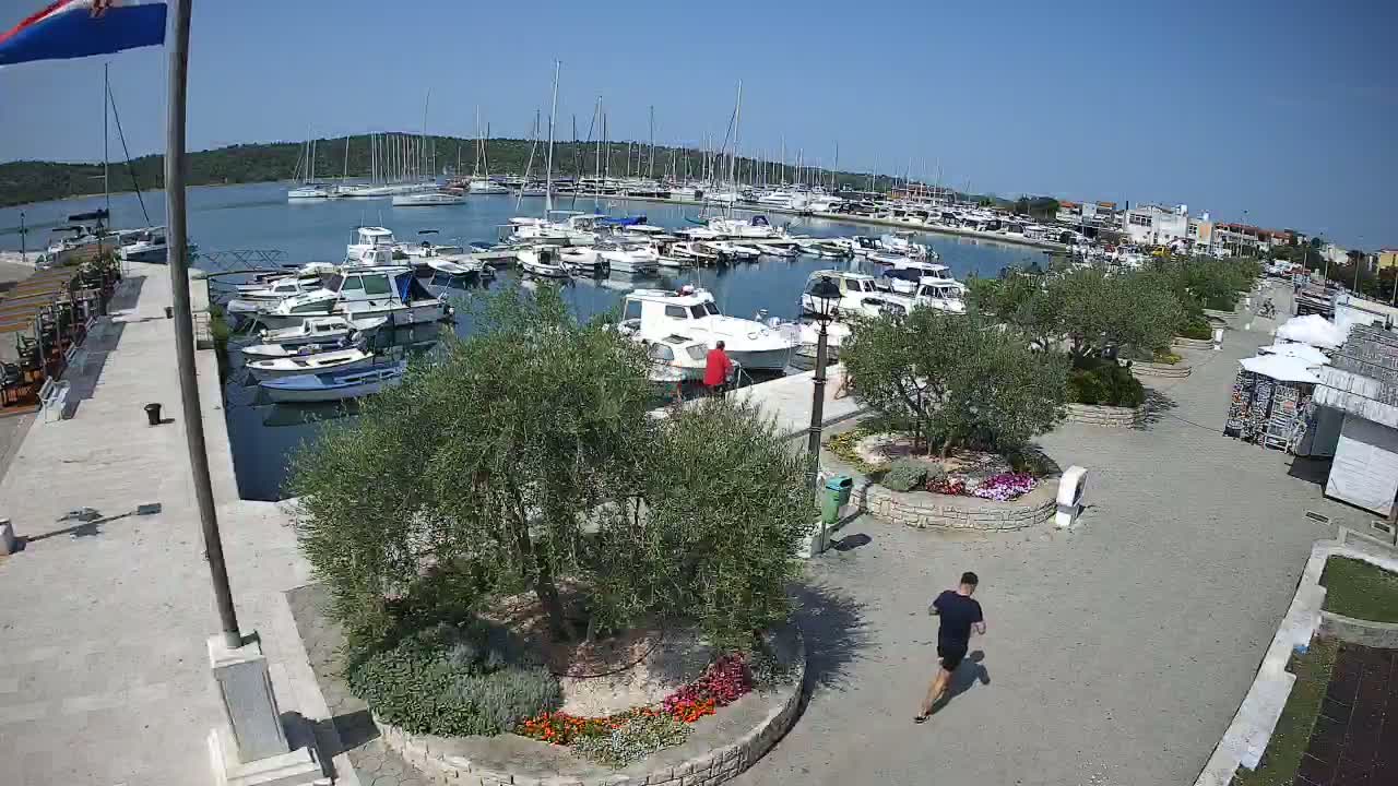A marina filled with numerous boats on a sunny day, overlooked by a paved walkway lined with olive trees and small flower gardens, where a person is jogging.
