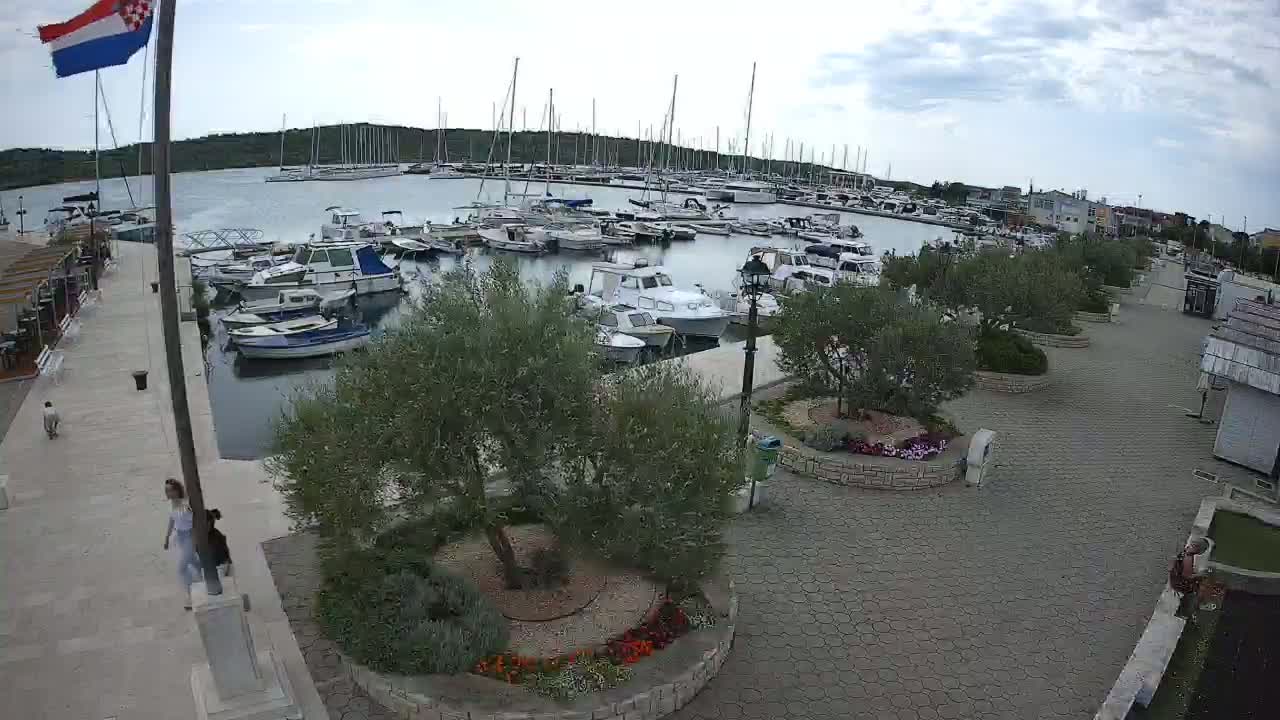 A marina filled with numerous boats is seen from an elevated viewpoint on a partly cloudy day, with a paved walkway and landscaped areas nearby.