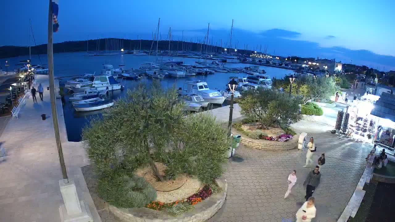 A marina filled with boats at dusk, overlooked by a paved walkway with people strolling past shops and landscaped areas.