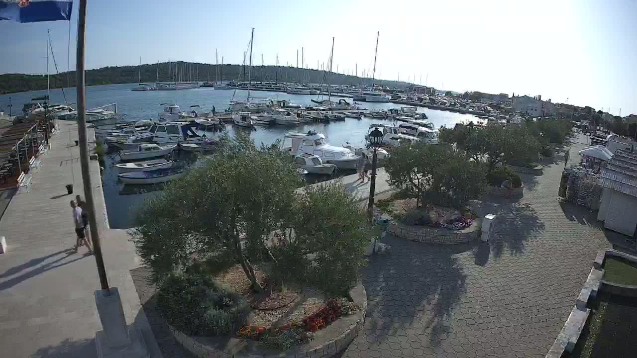 A marina filled with numerous boats and yachts under a sunny sky, with a paved walkway lined with shrubs and small trees leading away from the water.