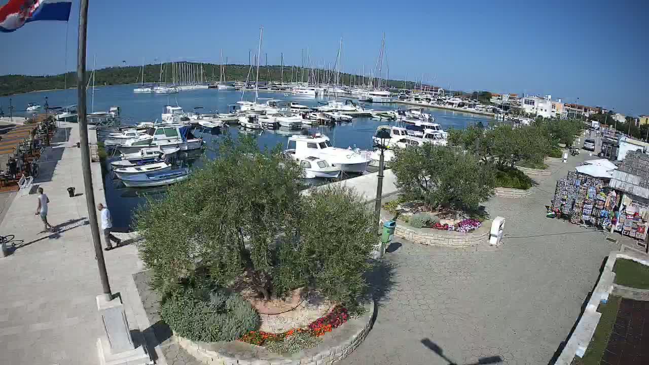 A marina filled with numerous boats on a sunny day, bordered by a paved walkway with landscaping and small shops.