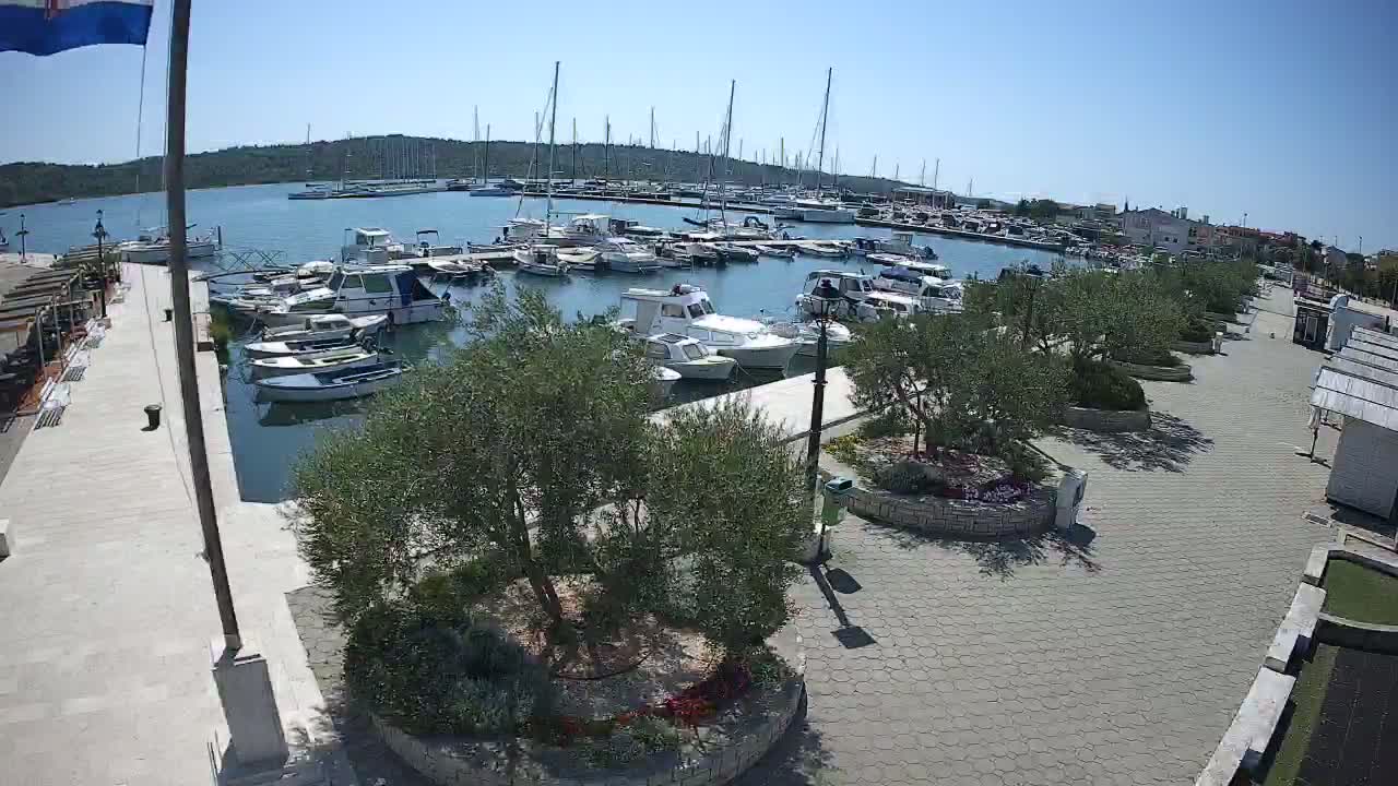 A marina filled with numerous boats and yachts on a sunny day, bordered by a paved walkway lined with olive trees and landscaping.