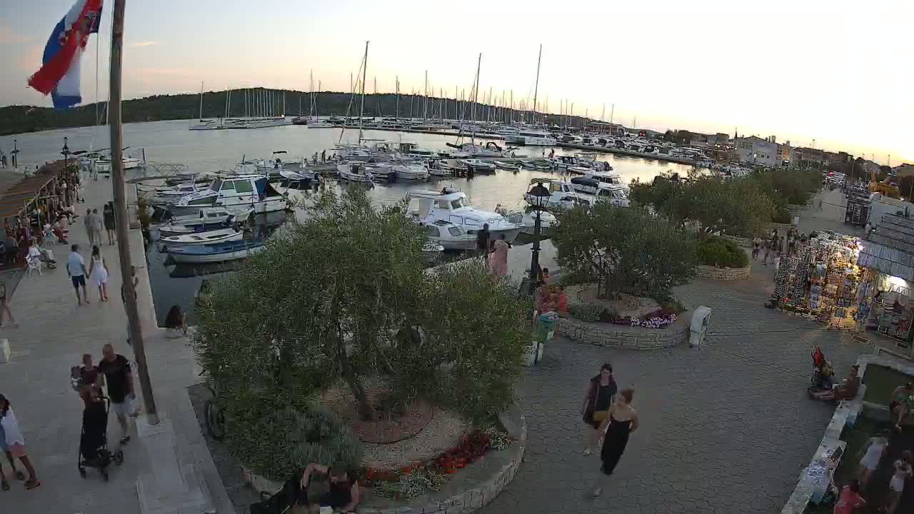 A harbor filled with boats at sunset, with people strolling along a paved walkway lined with olive trees and small shops.