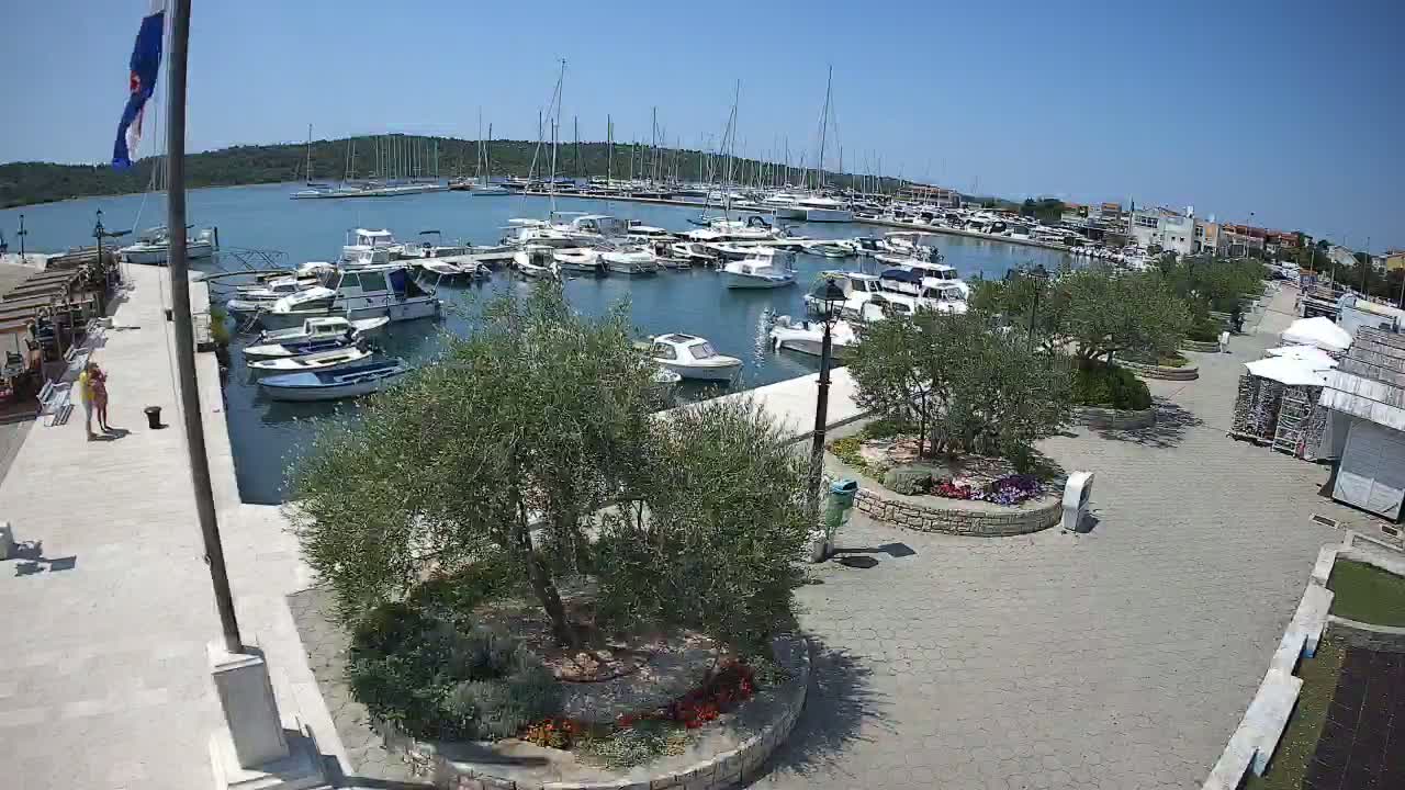 A marina filled with boats on a sunny day, surrounded by a paved walkway with landscaping and small buildings.