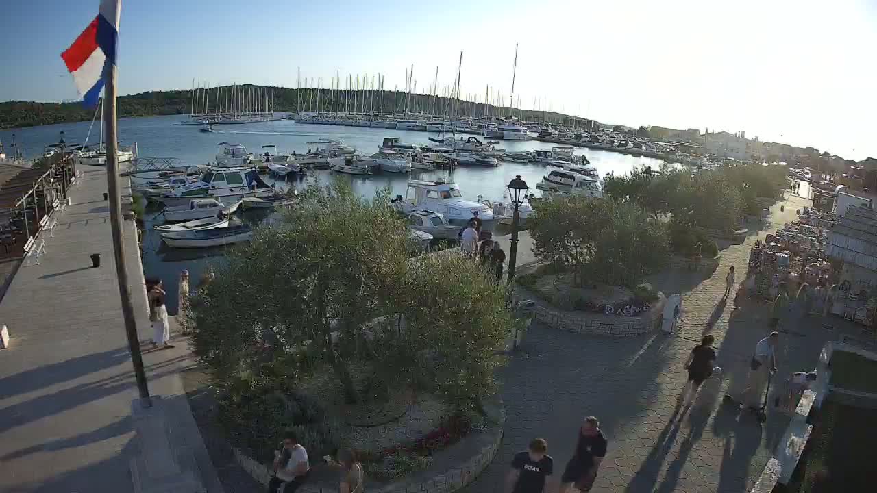 A marina filled with boats is situated next to a paved walkway lined with olive trees and people strolling under a sunny sky.
