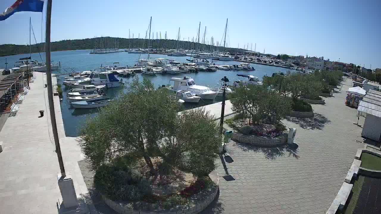 A marina filled with sailboats and motorboats on a sunny day, bordered by a paved walkway lined with olive trees and small shops.