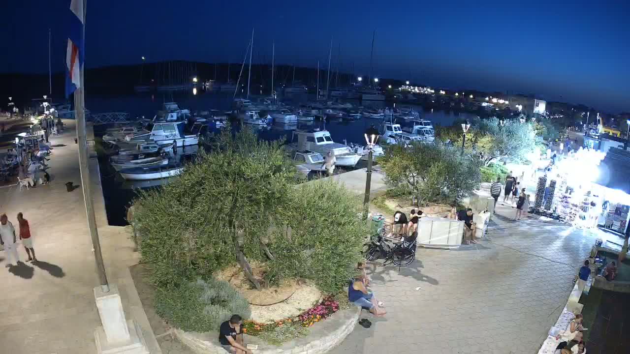 A marina at night, under a twilight sky, is surrounded by people strolling along a paved walkway lined with olive trees and small shops.