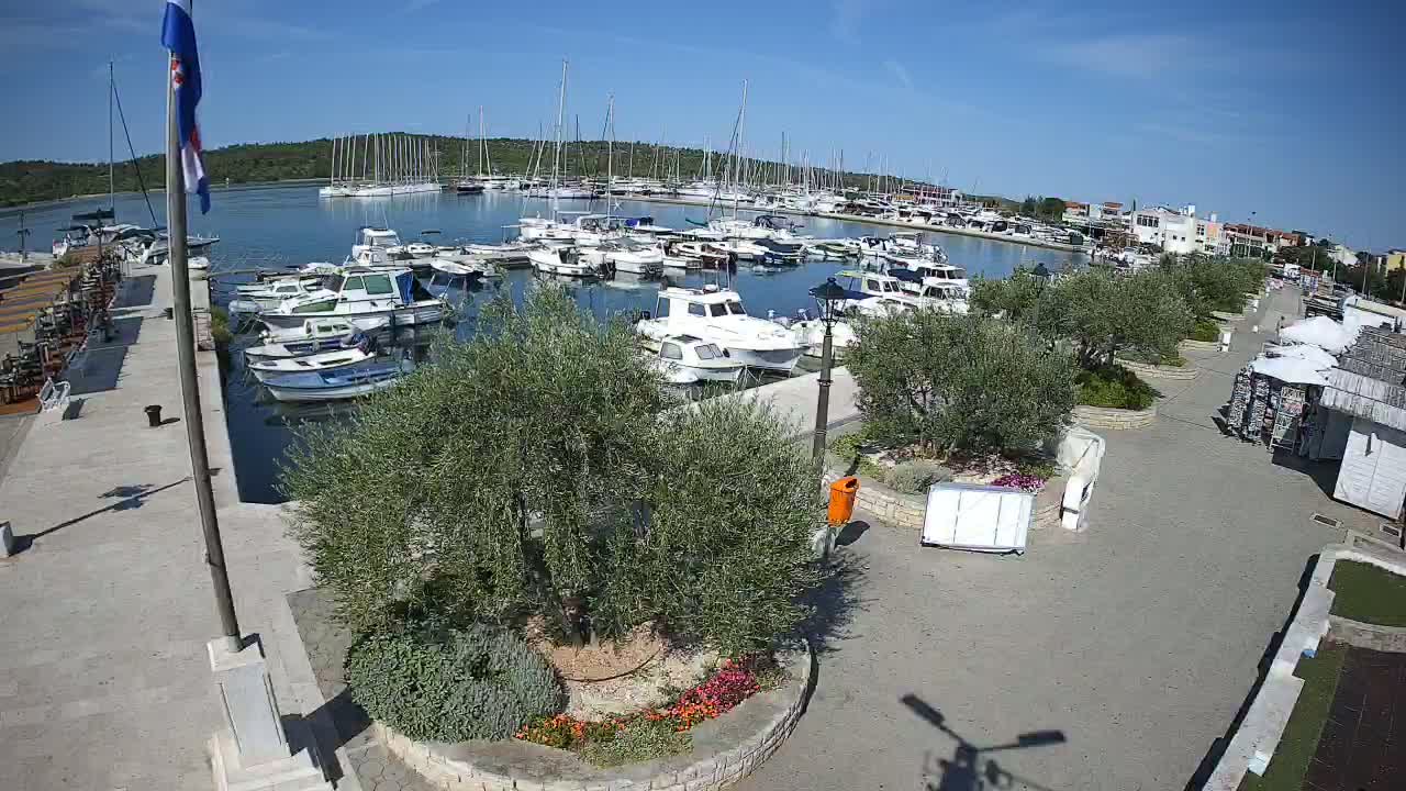 A marina filled with numerous boats is shown on a sunny day, with a paved waterfront area featuring landscaping and small shops.