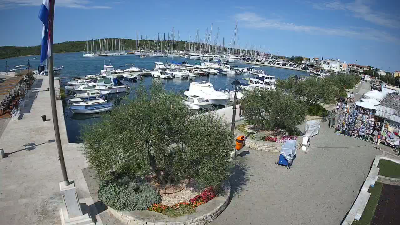 A marina filled with numerous boats is adjacent to a paved area with olive trees, flowerbeds, and souvenir shops, all under a sunny sky.