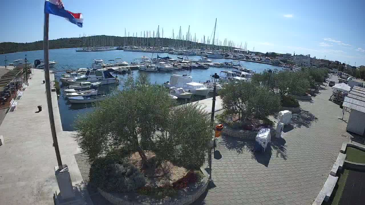 A marina filled with numerous boats is adjacent to a paved area with olive trees, flowerbeds, and souvenir shops, all under a sunny sky.