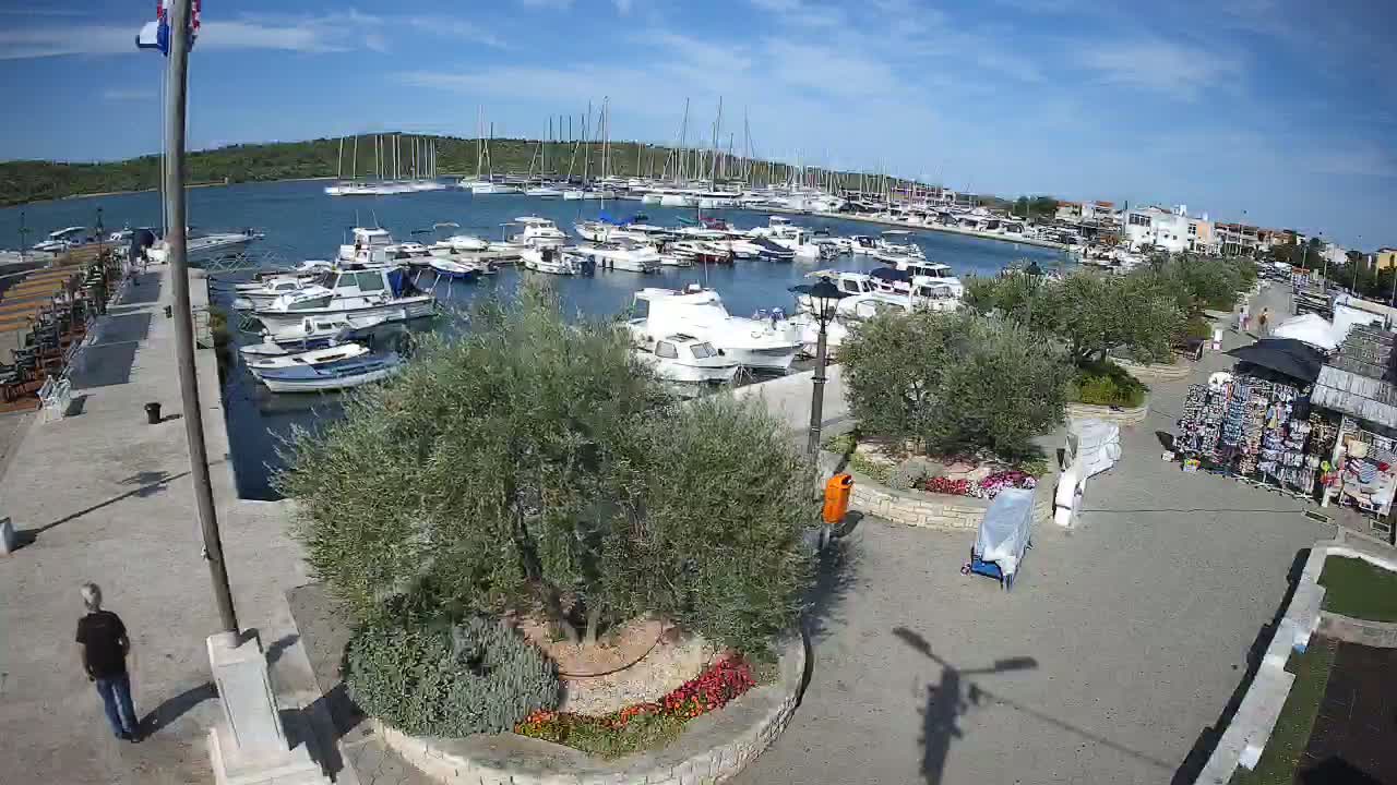 A sunny day at a marina shows numerous boats docked, with a paved walkway lined with olive trees and small shops leading to a waterfront view.