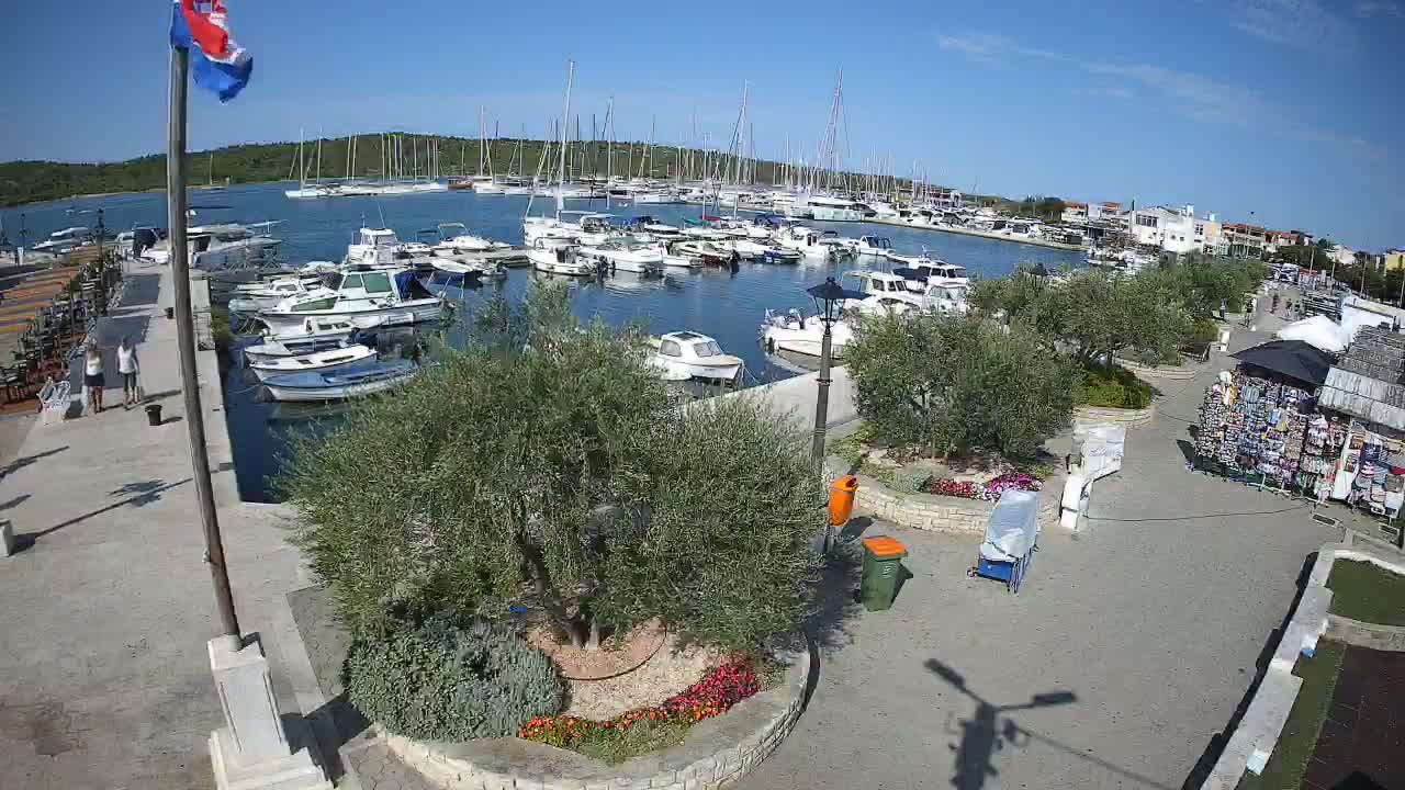A marina filled with boats is viewed from above on a sunny day, with a paved walkway and landscaped areas visible alongside souvenir stands.