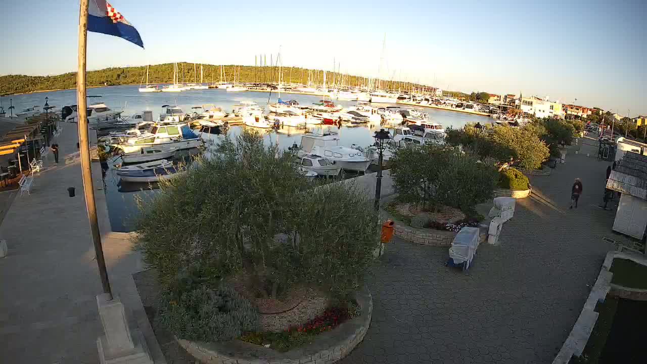 A marina filled with boats is viewed from above on a sunny day, with a paved walkway and landscaped areas visible alongside souvenir stands.