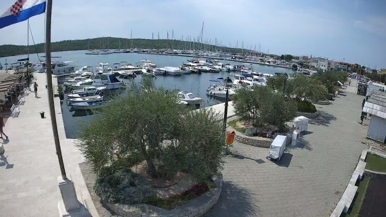 A marina filled with numerous boats is situated on a sunny day next to a paved walkway with small shops and people walking by, surrounded by olive trees and landscaping.