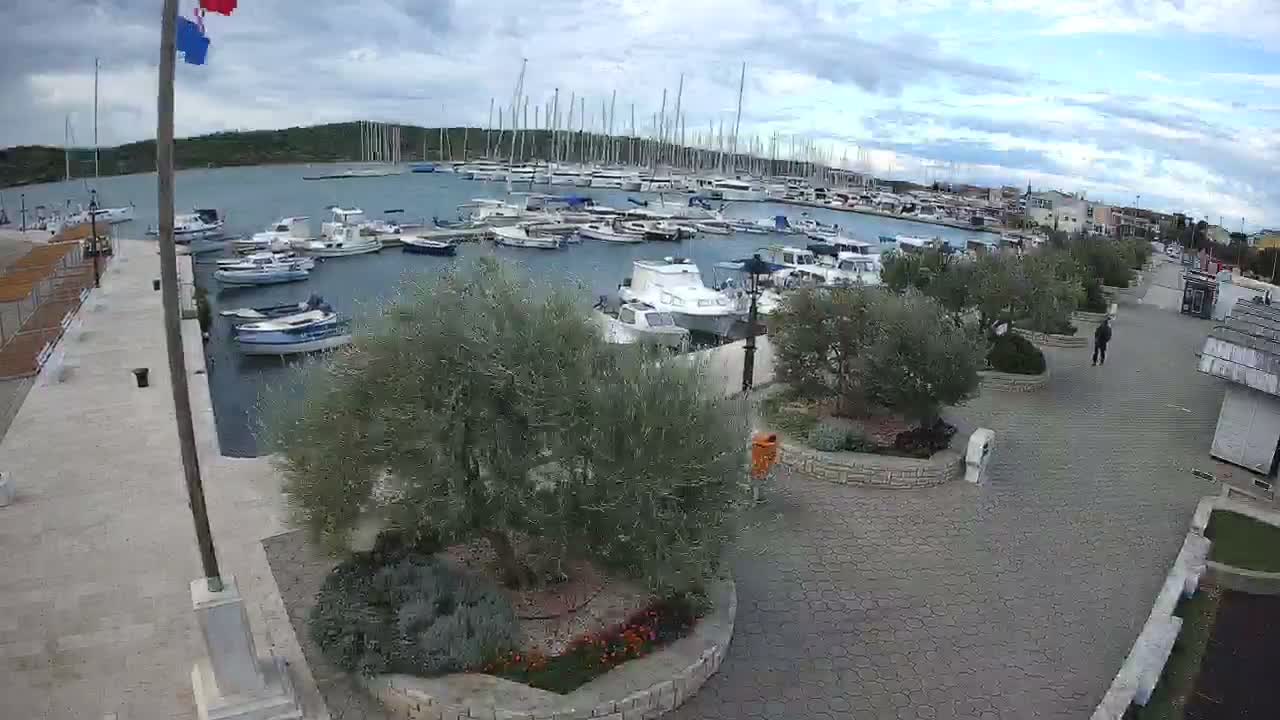 A marina filled with numerous boats is situated on a sunny day next to a paved walkway with small shops and people walking by, surrounded by olive trees and landscaping.