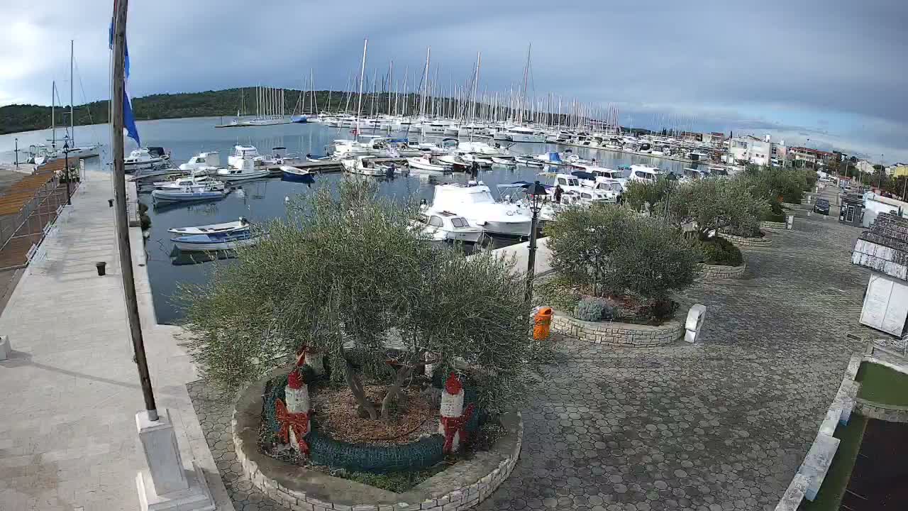 A busy marina teems with numerous sailboats and motorboats under an overcast sky, bordered by a paved promenade adorned with olive trees and festive red-and-white figures.