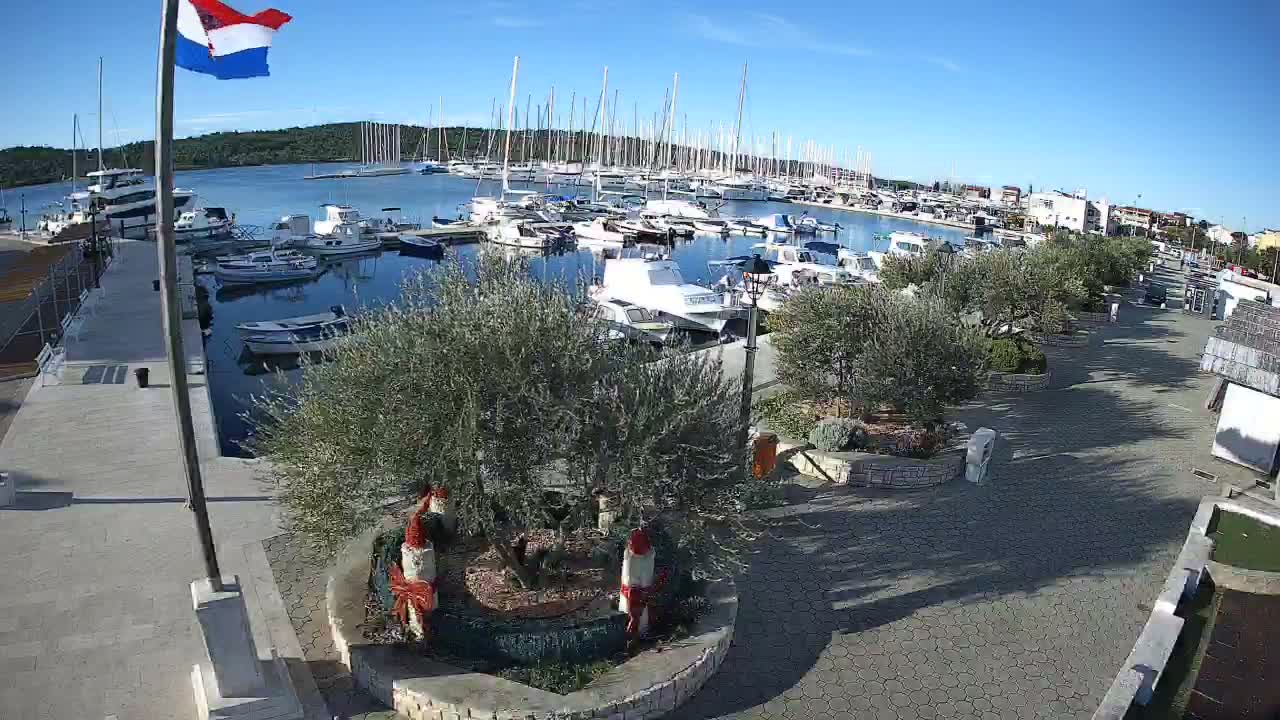 Under a clear blue sky on a sunny day, a red, white, and blue flag waves above a bustling marina filled with numerous docked boats, bordered by paved walkways, small trees, and distant coastal buildings.