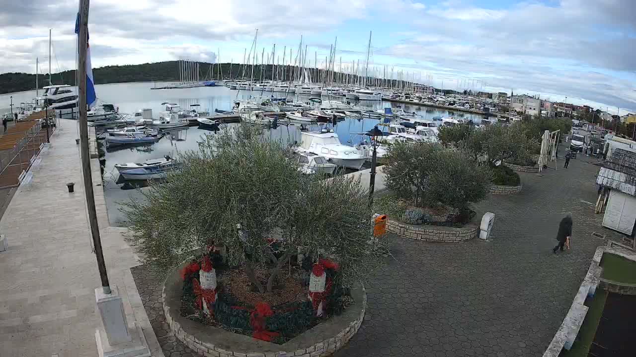 A bustling marina is seen under a partly cloudy sky, with numerous boats docked in calm water, bordered by a paved promenade featuring decorated olive trees, and backed by a tree-covered hillside and coastal town buildings.