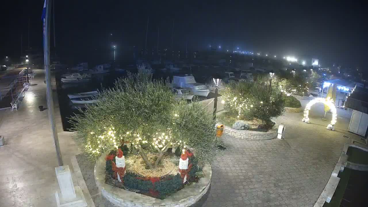 A nighttime scene at a marina reveals numerous boats docked, illuminated by streetlights and festive string lights adorning trees and an archway on a clear night.