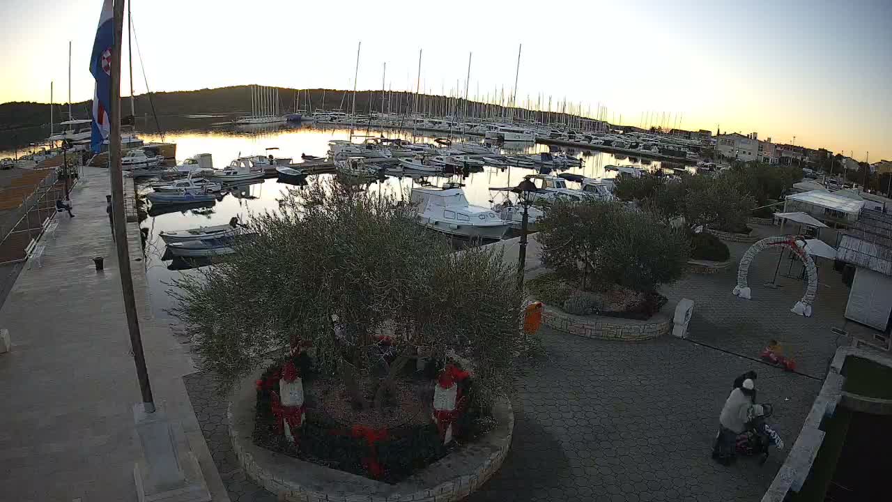 A nighttime scene at a marina reveals numerous boats docked, illuminated by streetlights and festive string lights adorning trees and an archway on a clear night.