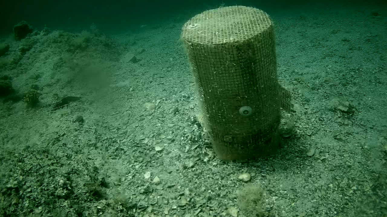 An underwater, cylindrical, mesh-covered object rests on a gravelly seabed in murky green water.